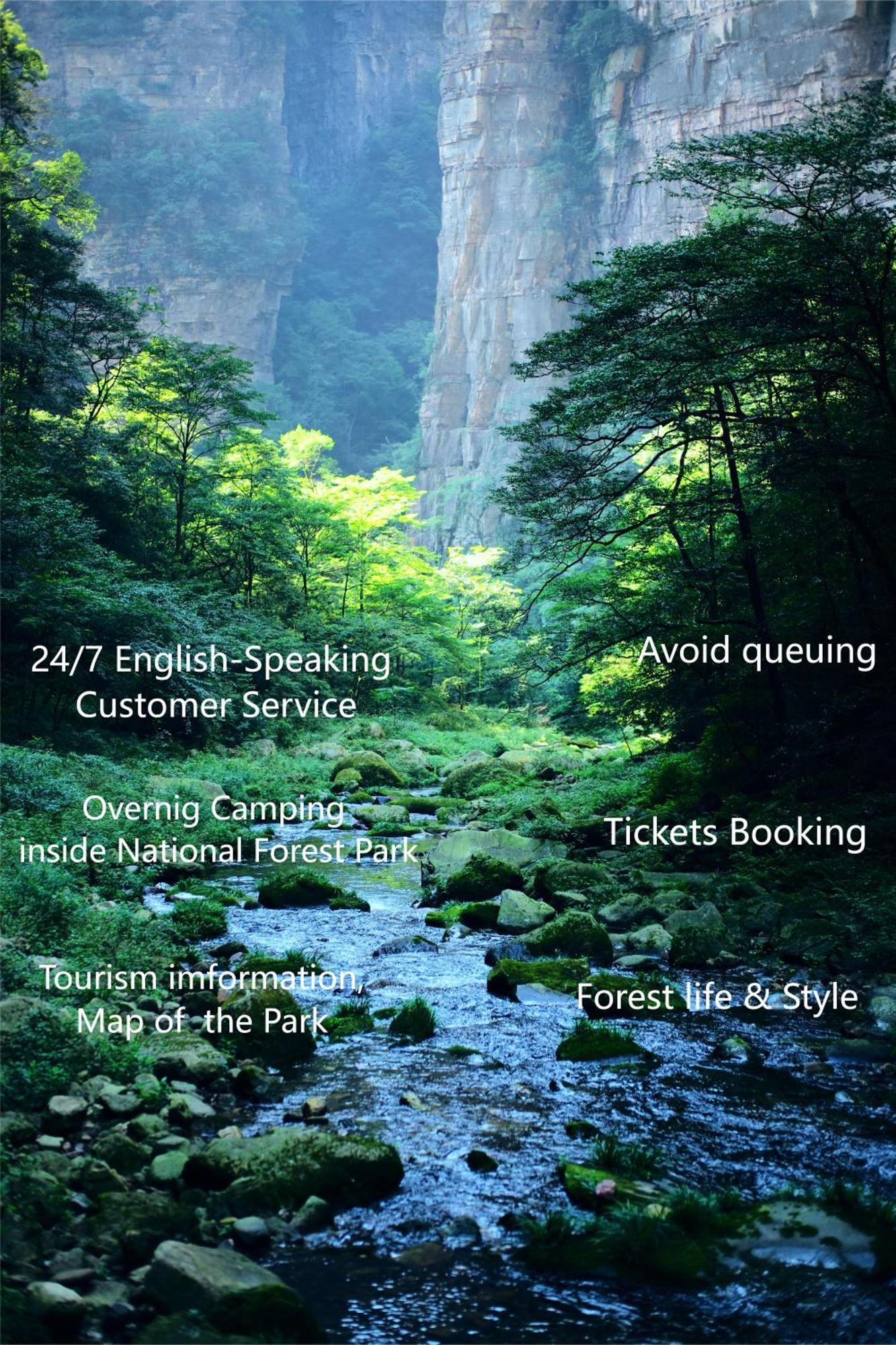 Zhangjiajie National Forest Park Camping Dış mekan fotoğraf
