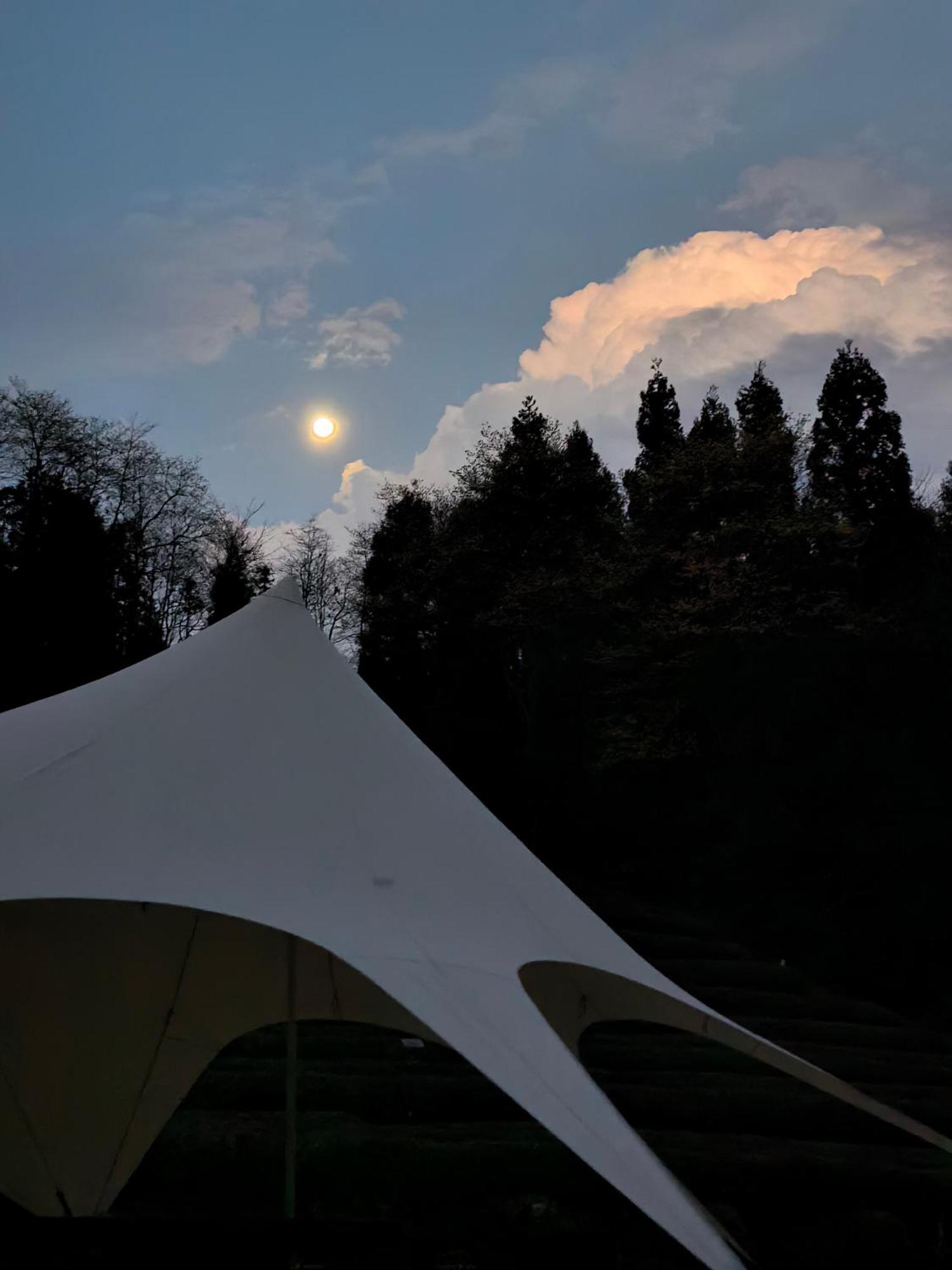 Zhangjiajie National Forest Park Camping Dış mekan fotoğraf